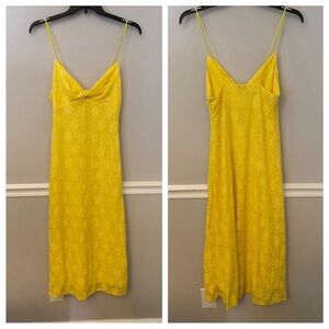 NWT NSR elegant yellow lace midi or maxi dress. L